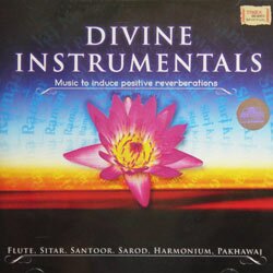 Divine Instrumentals - Music to Induce Positive Reverberations