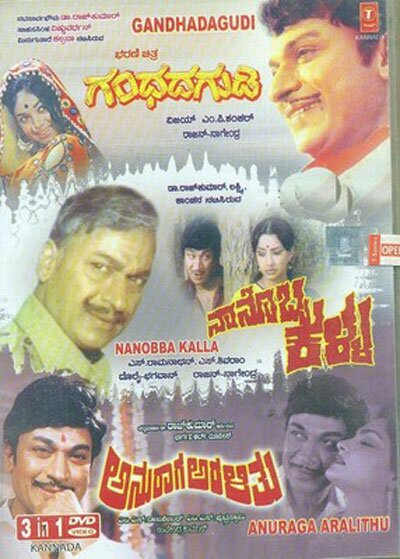 Gandhada Gudi - Naanobba Kalla - Anuraga Aralitu Combo DVD