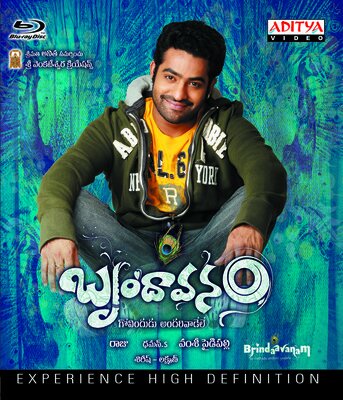 Brindaavanam - 2010 (Telugu Blu-ray)