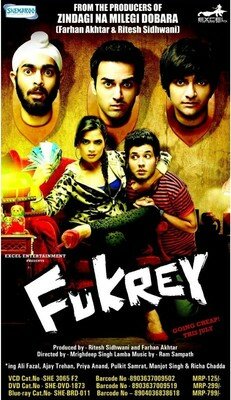 Fukrey - 2013 (Hindi Blu-ray)